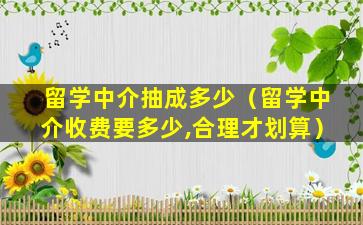 留学中介抽成多少（留学中介收费要多少,合理才划算）