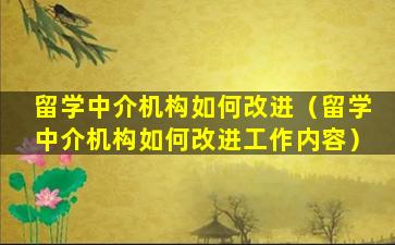 留学中介机构如何改进（留学中介机构如何改进工作内容）