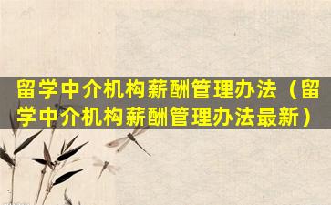 留学中介机构薪酬管理办法（留学中介机构薪酬管理办法最新）