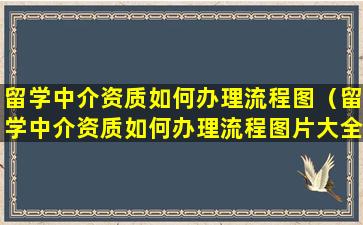 留学中介资质如何办理流程图（留学中介资质如何办理流程图片大全）