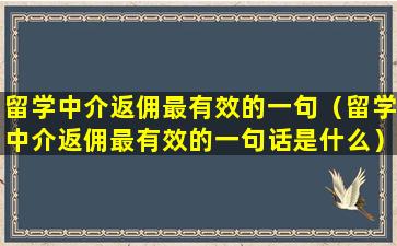 留学中介返佣最有效的一句（留学中介返佣最有效的一句话是什么）