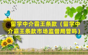 留学中介霸王条款（留学中介霸王条款市场监督局管吗）