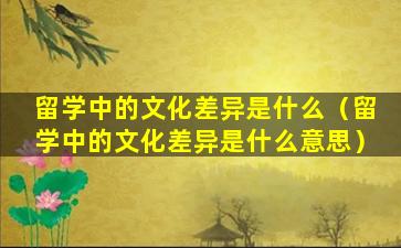 留学中的文化差异是什么（留学中的文化差异是什么意思）