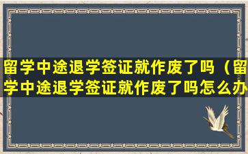 留学中途退学签证就作废了吗（留学中途退学签证就作废了吗怎么办）