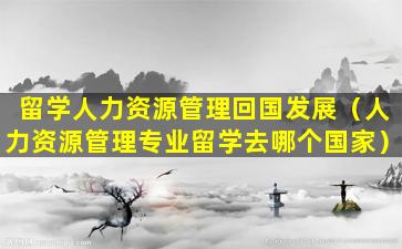 留学人力资源管理回国发展（人力资源管理专业留学去哪个国家）
