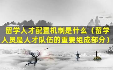 留学人才配置机制是什么（留学人员是人才队伍的重要组成部分）