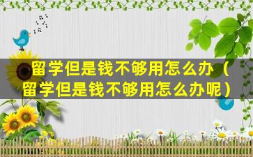 留学但是钱不够用怎么办（留学但是钱不够用怎么办呢）