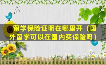 留学保险证明在哪里开（国外留学可以在国内买保险吗）