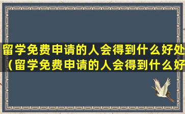 留学免费申请的人会得到什么好处（留学免费申请的人会得到什么好处呢）