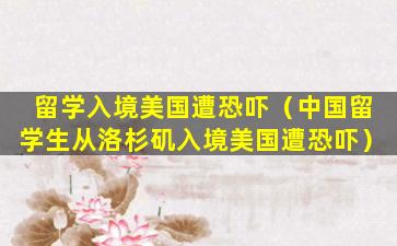 留学入境美国遭恐吓（中国留学生从洛杉矶入境美国遭恐吓）