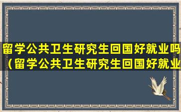 留学公共卫生研究生回国好就业吗（留学公共卫生研究生回国好就业吗知乎）