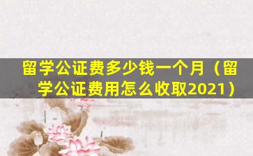 留学公证费多少钱一个月（留学公证费用怎么收取2021）