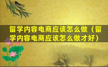 留学内容电商应该怎么做（留学内容电商应该怎么做才好）