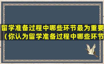 留学准备过程中哪些环节最为重要（你认为留学准备过程中哪些环节最为重要）
