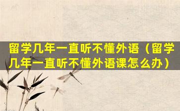 留学几年一直听不懂外语（留学几年一直听不懂外语课怎么办）