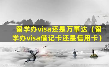 留学办visa还是万事达（留学办visa借记卡还是信用卡）