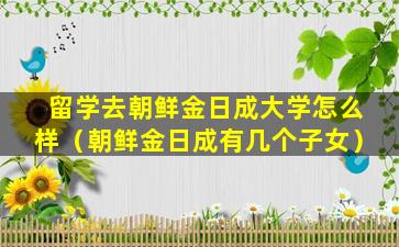 留学去朝鲜金日成大学怎么样（朝鲜金日成有几个子女）