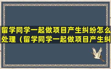 留学同学一起做项目产生纠纷怎么处理（留学同学一起做项目产生纠纷怎么处理好）