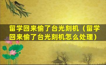 留学回来偷了台光刻机（留学回来偷了台光刻机怎么处理）