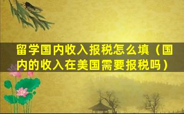 留学国内收入报税怎么填（国内的收入在美国需要报税吗）