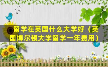 留学在英国什么大学好（英国博尔顿大学留学一年费用）