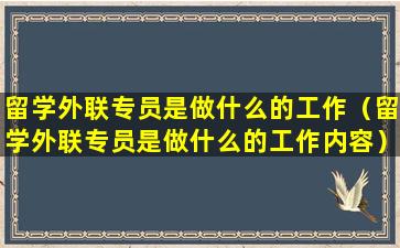 留学外联专员是做什么的工作（留学外联专员是做什么的工作内容）