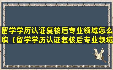 留学学历认证复核后专业领域怎么填（留学学历认证复核后专业领域怎么填写）