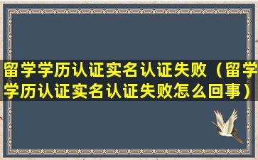 留学学历认证实名认证失败（留学学历认证实名认证失败怎么回事）