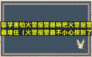 留学害怕火警报警器响把火警报警器堵住（火警报警器不小心按到了要怎样关掉）