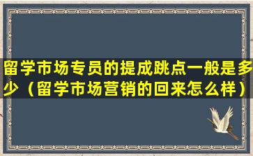 留学市场专员的提成跳点一般是多少（留学市场营销的回来怎么样）