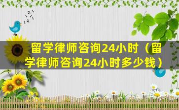 留学律师咨询24小时（留学律师咨询24小时多少钱）