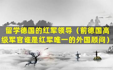 留学德国的红军领导（前德国高级军官谁是红军唯一的外国顾问）