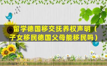 留学德国移交抚养权声明（子女移民德国父母能移民吗）