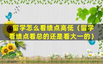 留学怎么看绩点高低（留学看绩点看总的还是看大一的）