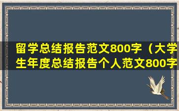 留学总结报告范文800字（大学生年度总结报告个人范文800字）