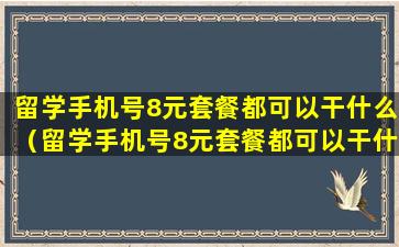 留学手机号8元套餐都可以干什么（留学手机号8元套餐都可以干什么呢）