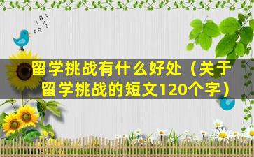 留学挑战有什么好处（关于留学挑战的短文120个字）