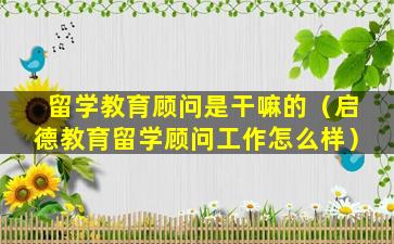 留学教育顾问是干嘛的（启德教育留学顾问工作怎么样）