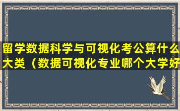 留学数据科学与可视化考公算什么大类（数据可视化专业哪个大学好）