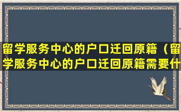 留学服务中心的户口迁回原籍（留学服务中心的户口迁回原籍需要什么）