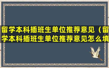 留学本科插班生单位推荐意见（留学本科插班生单位推荐意见怎么填）