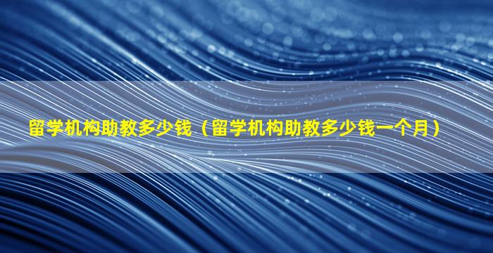 留学机构助教多少钱（留学机构助教多少钱一个月）