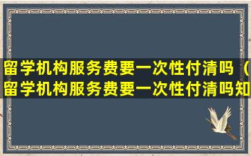 留学机构服务费要一次性付清吗（留学机构服务费要一次性付清吗知乎）