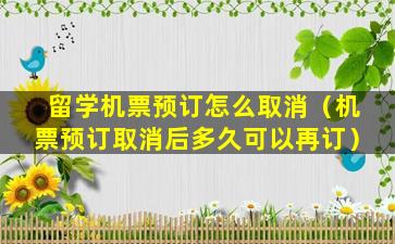 留学机票预订怎么取消（机票预订取消后多久可以再订）
