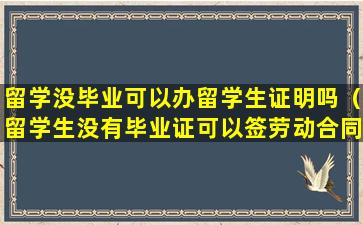 留学没毕业可以办留学生证明吗（留学生没有毕业证可以签劳动合同吗）