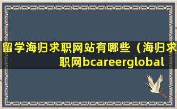 留学海归求职网站有哪些（海归求职网bcareerglobal）