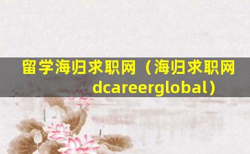 留学海归求职网（海归求职网dcareerglobal）