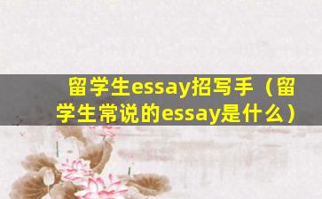 留学生essay招写手（留学生常说的essay是什么）