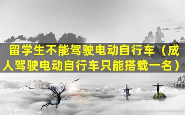 留学生不能驾驶电动自行车（成人驾驶电动自行车只能搭载一名）