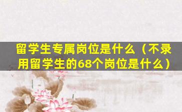 留学生专属岗位是什么（不录用留学生的68个岗位是什么）